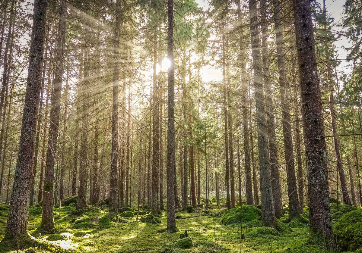 12984C26-CF8D-493F-8868-6D993542AA18